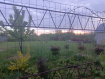 Дом Рыбновский район . Фото 4