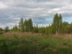 Участок Рязанский район . Фото 3