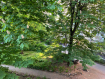 3-комнатная квартира, Полоцкая улица, 2. Фото 5