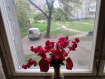4-комнатная квартира, Батальная улица, 8. Фото 24