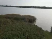 Коммерческая недвижимость  Кольчугинский район 1-й переулок, 10. Фото 3