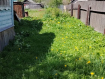 Дом Ковровский район . Фото 13