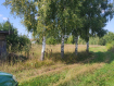 Дом Селивановский район . Фото 3