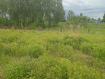Участок Бийский район . Фото 6