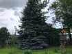 Дом Аургазинский район . Фото 15