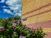 1-комнатная квартира, Центральная улица, 17. Фото 32