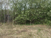 Участок городской округ Владимир Октябрьский район. Фото 2