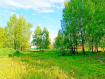 Участок Зеленоградский городской округ . Фото 3