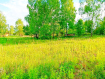 Участок Зеленоградский городской округ . Фото 4