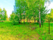 Участок Зеленоградский городской округ . Фото 5