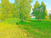 Участок Зеленоградский городской округ . Фото 6