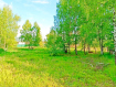 Участок Зеленоградский городской округ . Фото 7