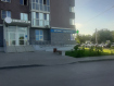 1-комнатная квартира, улица Гаря Хохолова, 2. Фото 12