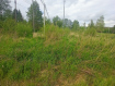 Участок Светловский городской округ . Фото 4