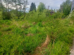 Участок Светловский городской округ . Фото 10
