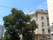 2-комнатная квартира, улица Текучёва, 137/77. Фото 11
