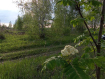 Участок Рязанский район . Фото 5