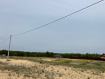 Участок Рязанский район . Фото 5