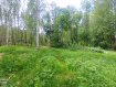 Участок Судогодский район . Фото 1