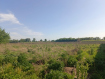 Участок Рыбновский район . Фото 4