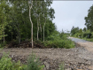 Коммерческая недвижимость село Весточка Анивский городской округ село Весточка, . Фото 3