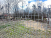 Участок городской округ Пушкинский микрорайон Моспроекта. Фото 13