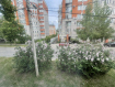 3-комнатная квартира, улица Разина, 5. Фото 12