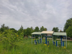 Участок Собинский район . Фото 21