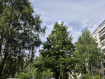 2-комнатная квартира, улица Рихарда Зорге, 109. Фото 18