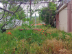Участок Азовский район . Фото 6