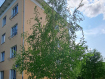2-комнатная квартира, улица Фридриха Энгельса, 11. Фото 24