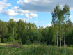 Участок Судогодский район . Фото 9