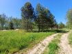 Участок Рязанский район . Фото 3