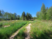 Участок Рязанский район . Фото 4