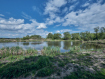 Дом Рыбновский район . Фото 28