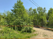 Участок городской округ Южно-Сахалинск 19-й микрорайон. Фото 3
