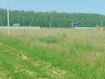 Участок Собинский район . Фото 8