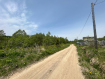 Участок Корсаковский городской округ . Фото 5