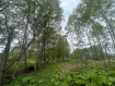 Участок Корсаковский городской округ . Фото 7