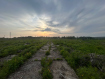 Участок Корсаковский городской округ . Фото 7