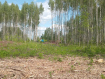 Участок городской округ Владимир Октябрьский район. Фото 2