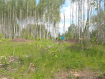 Участок городской округ Владимир Октябрьский район. Фото 3