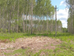 Участок городской округ Владимир Октябрьский район. Фото 4