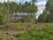 Участок городской округ Владимир Октябрьский район. Фото 5