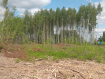 Участок городской округ Владимир Октябрьский район. Фото 6