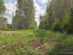Участок городской округ Владимир Октябрьский район. Фото 8
