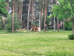 2-комнатная квартира, Коммунистическая улица, 26. Фото 22