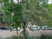 2-комнатная квартира, улица М.М. Глинкина, 8. Фото 5