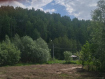Участок Тобольский район . Фото 19