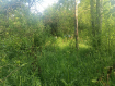 Дом городской округ Владимир Фрунзенский район. Фото 5
